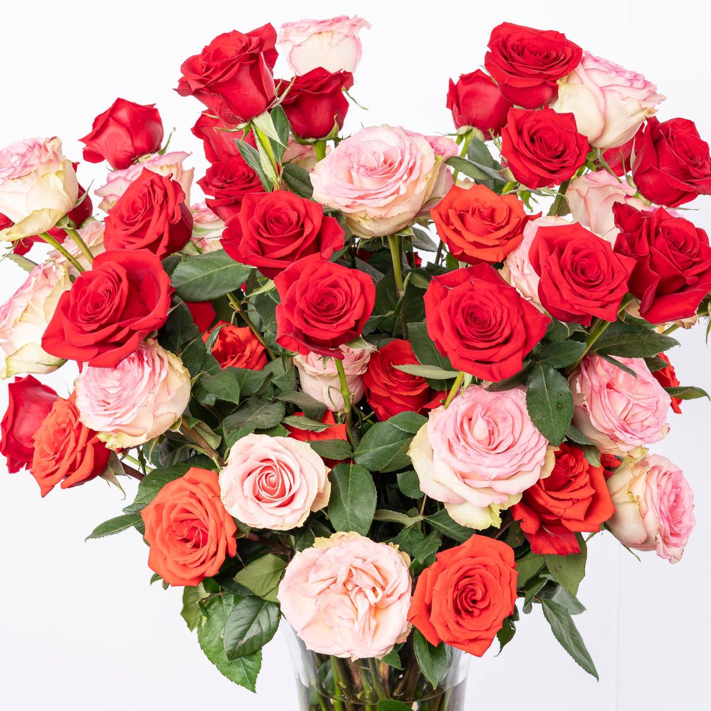 Madly In Love - 75 Long Stemmed Roses