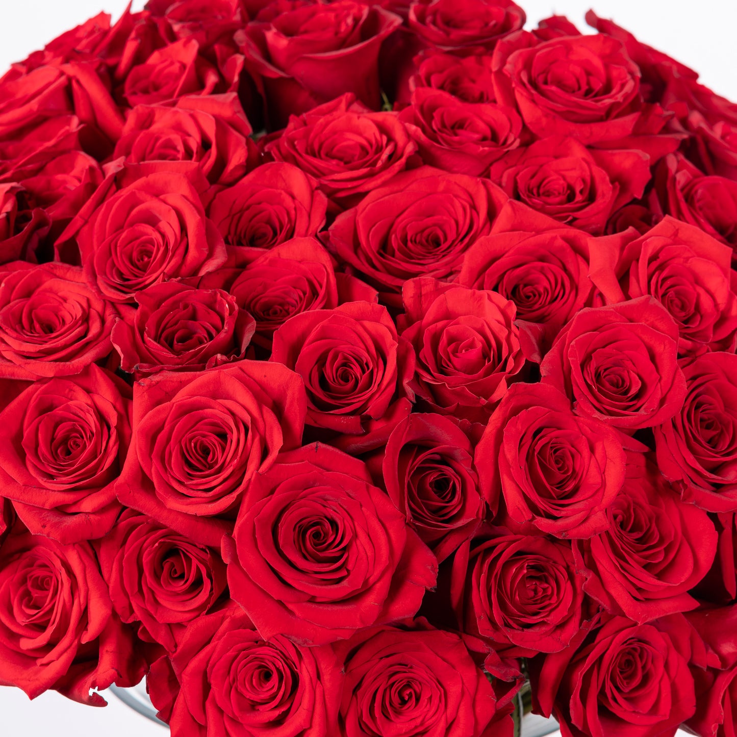 Elegant Abundance - 100 Roses Bouquet